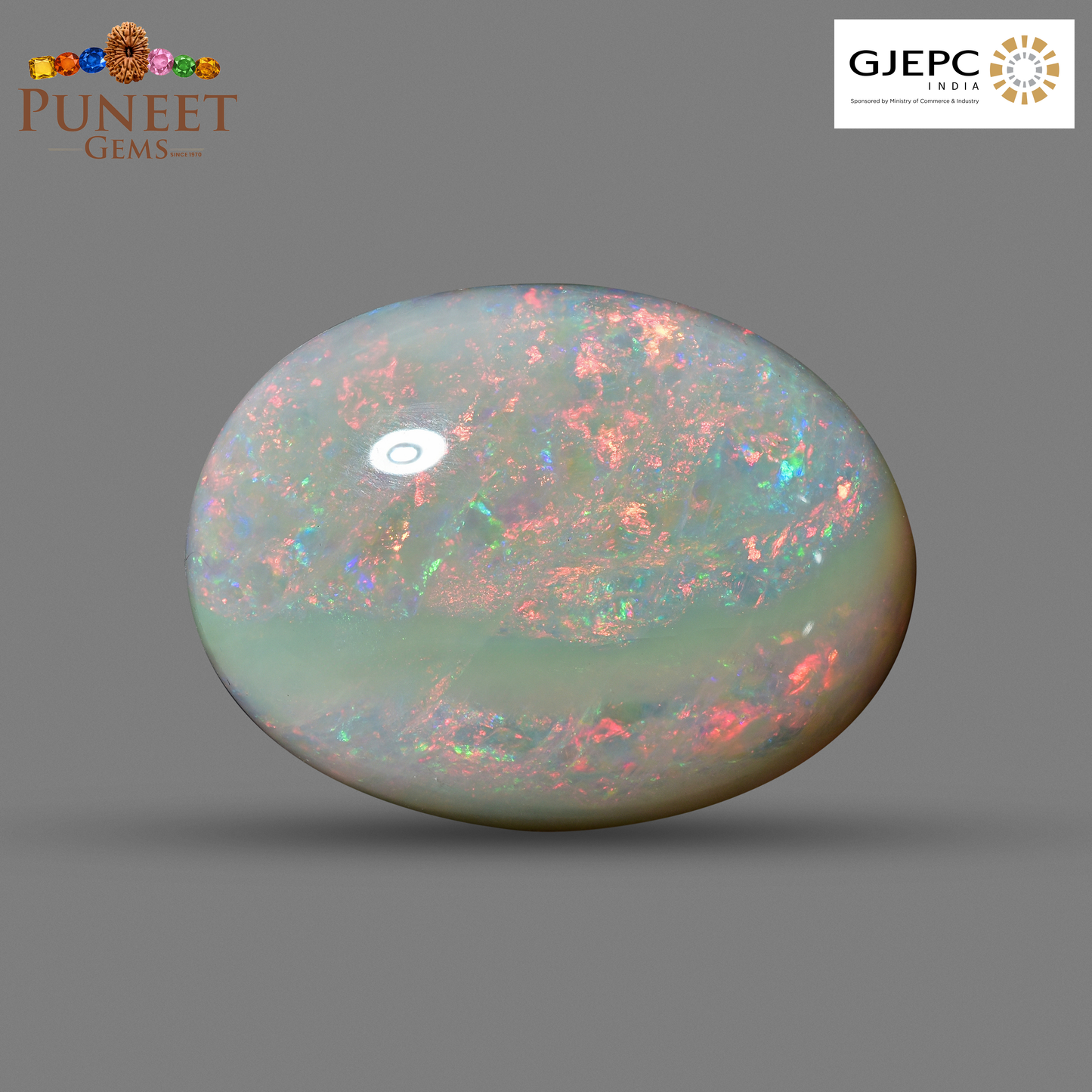 Natural Australian Opal 13.54CT