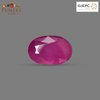 Natural Mozambique Ruby 2.48 Ct Certified