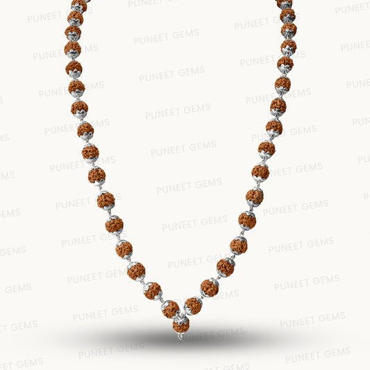 Silver Rudraksha Mala – Pure Spiritual Grace in Every Bead