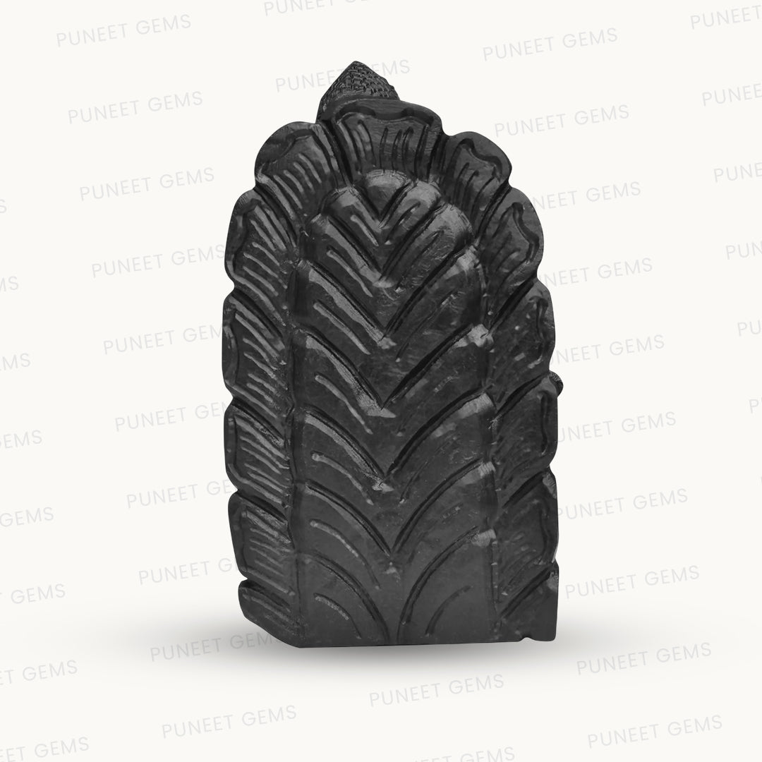 Shaligram Krishna Ji Figure