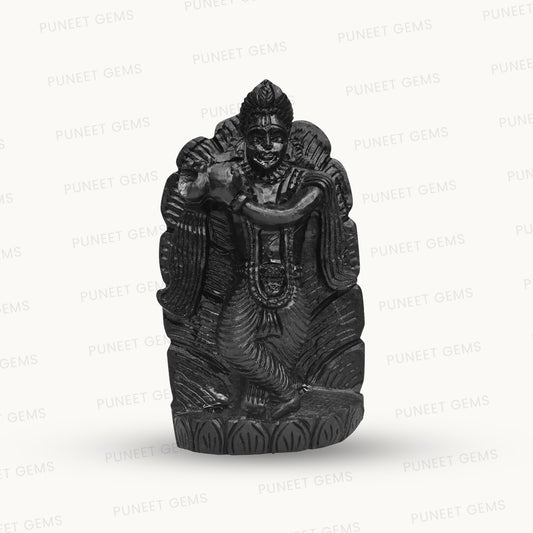 Shaligram Krishna Ji Figure