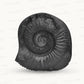 Shaligram Laxmi Ganesh with Sudarshan Chakra Figure