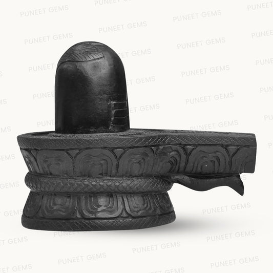 Shaligram Shivling Figure