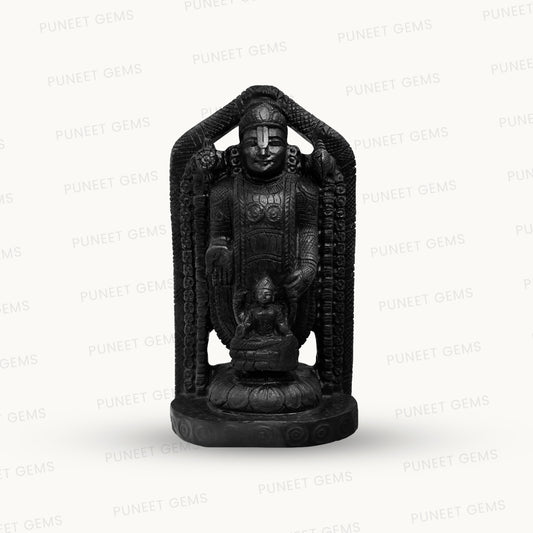 Shaligram Tirupati Balaji Figure