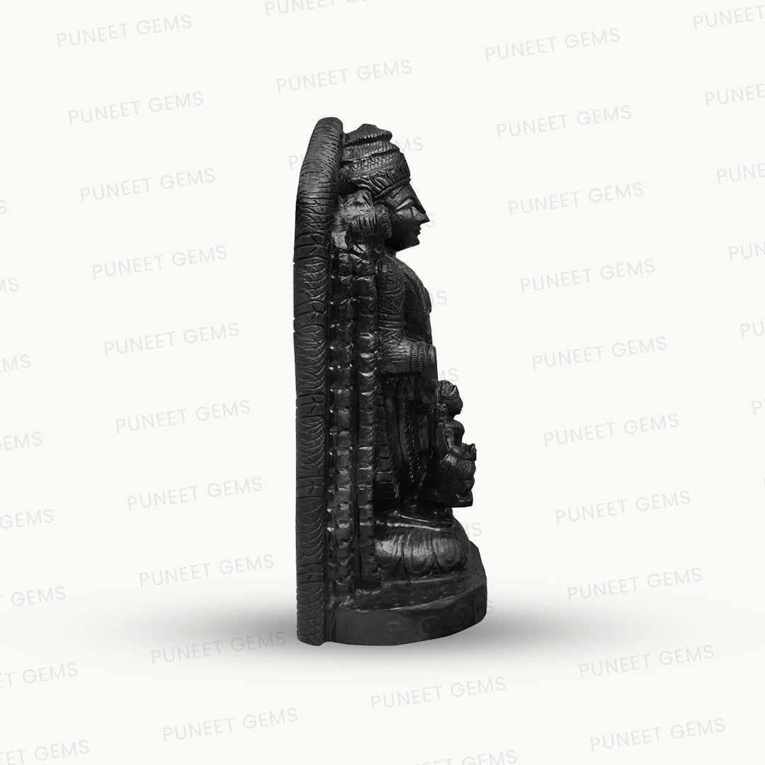 Shaligram Tirupati Balaji Figure