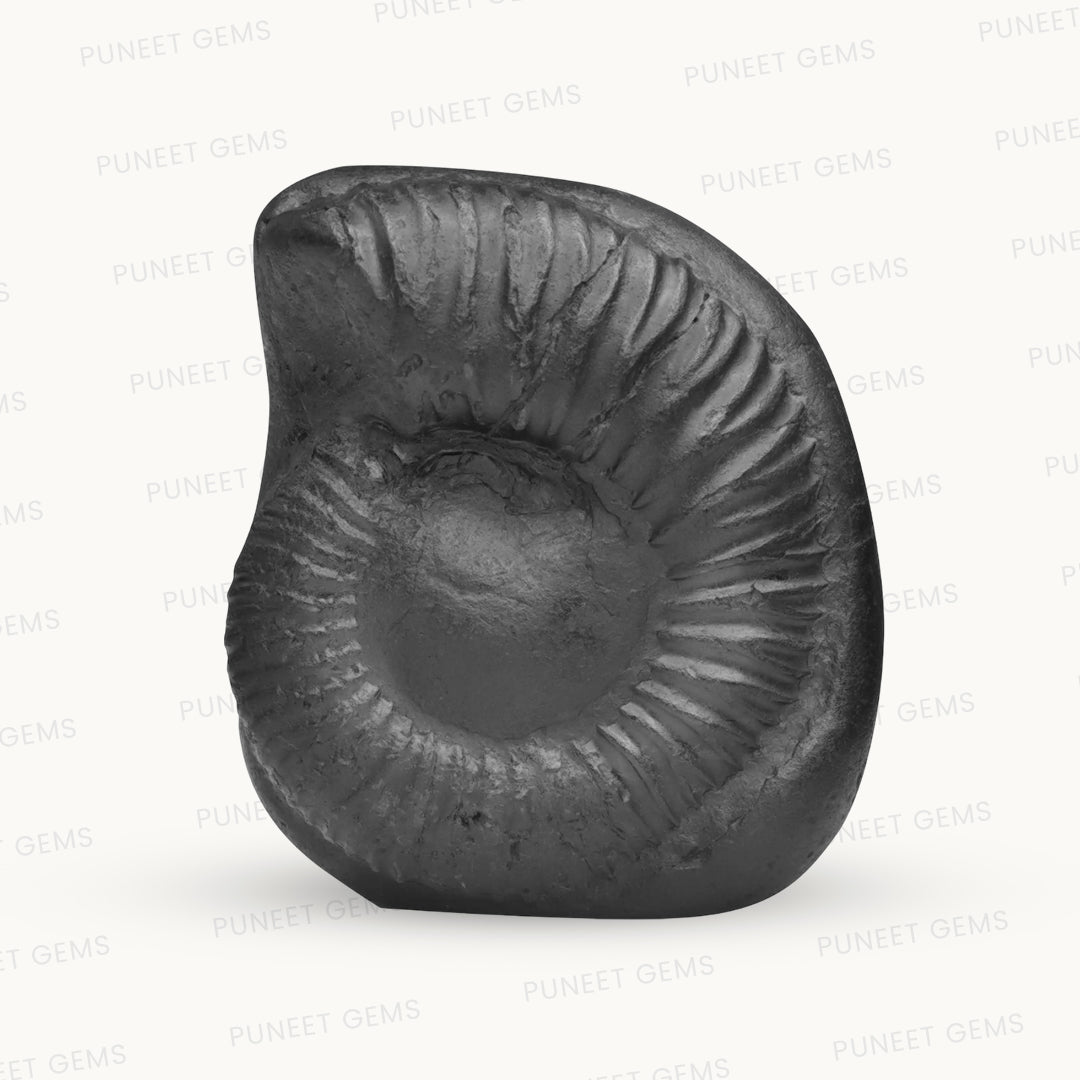 Shaligram Tirupati Balaji with Sudarshan Chakra Figure