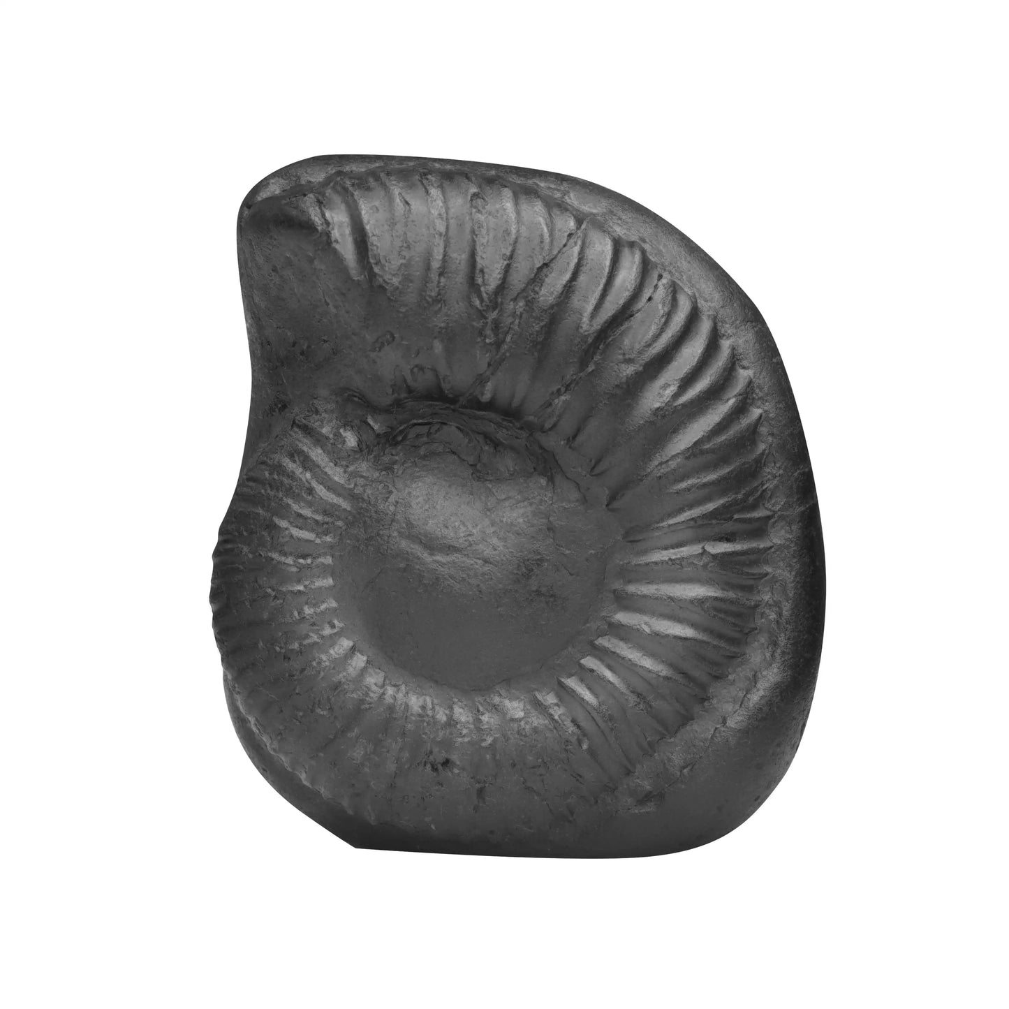 Shaligram Tirupati Balaji with Sudarshan Chakra Figure