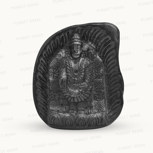 Shaligram Tirupati Balaji with Sudarshan Chakra Figure