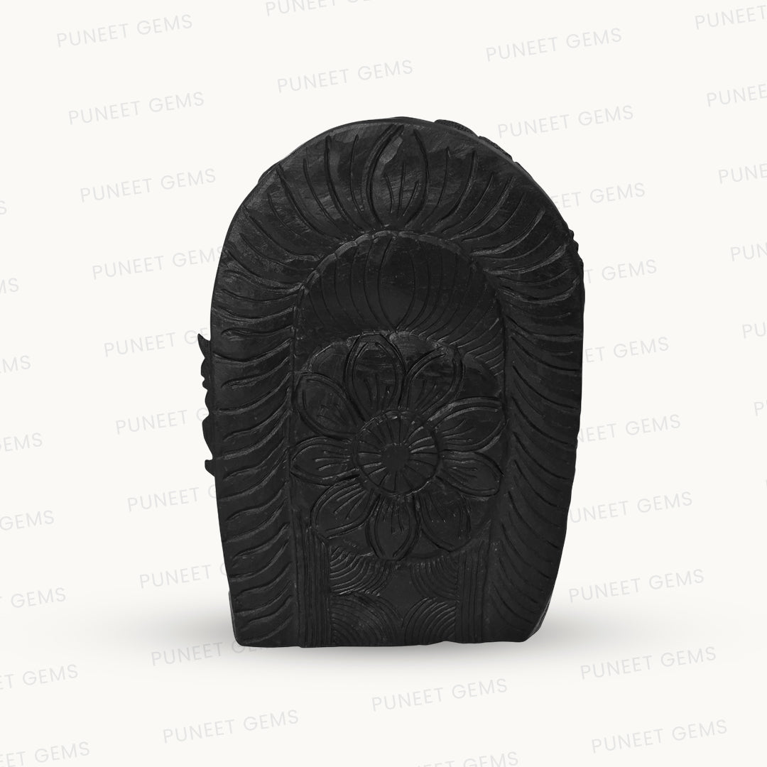 Shaligram Vishnu Ji Figure