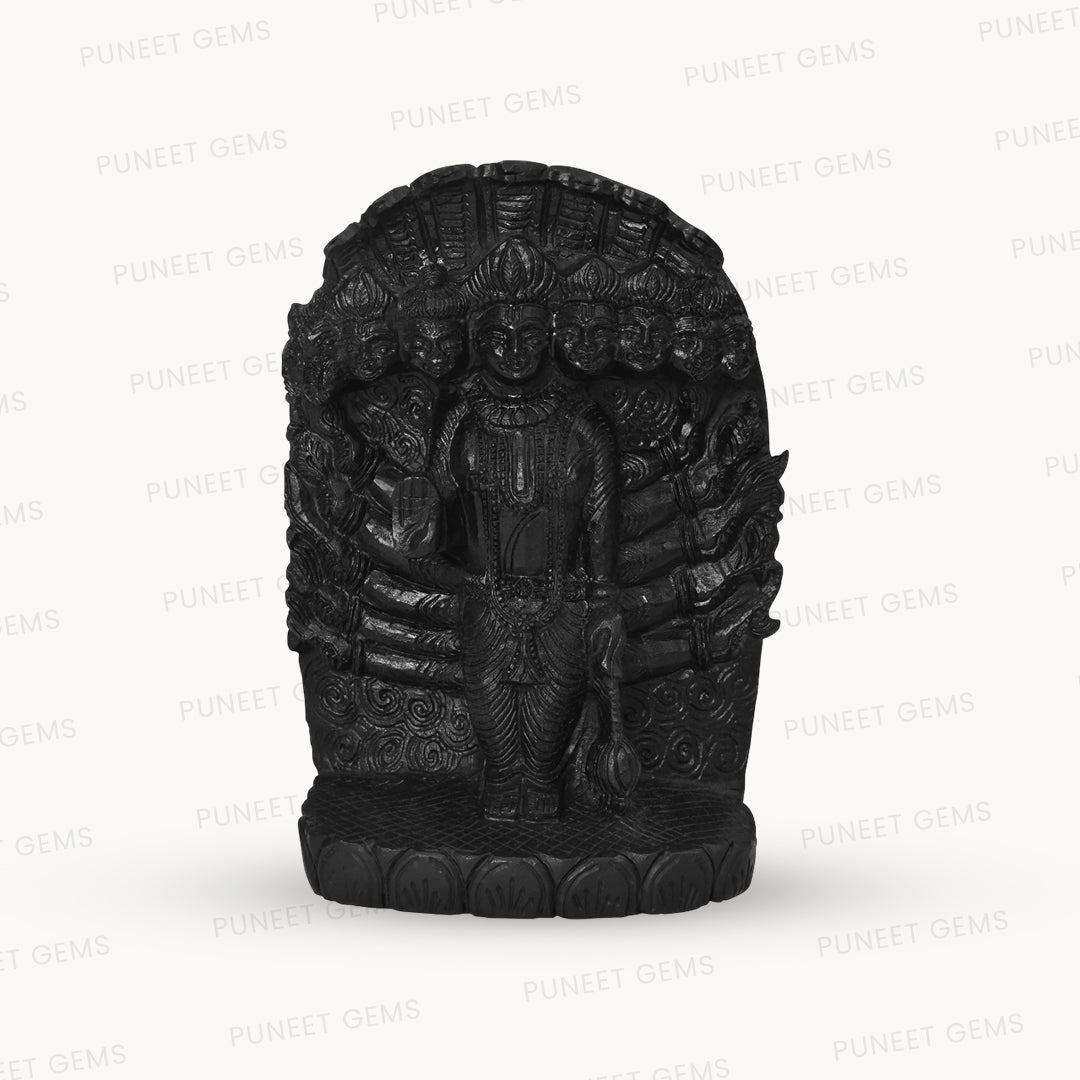Shaligram Vishnu Ji Figure