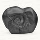 Shaligram Vishnu Ji & Laxmi Ji with Sudarshan Chakra Figure