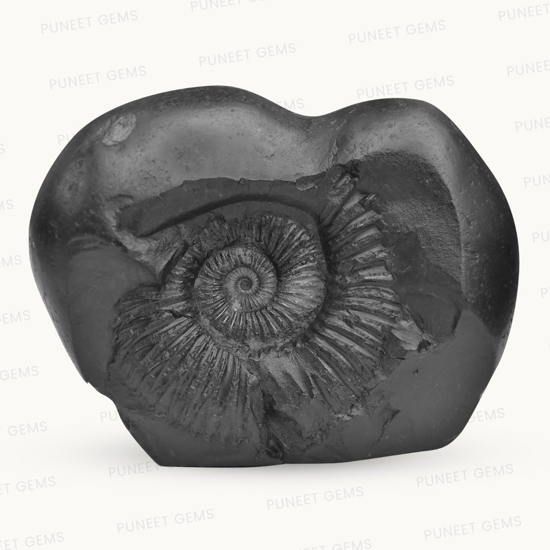 Shaligram Vishnu Ji & Laxmi Ji with Sudarshan Chakra Figure