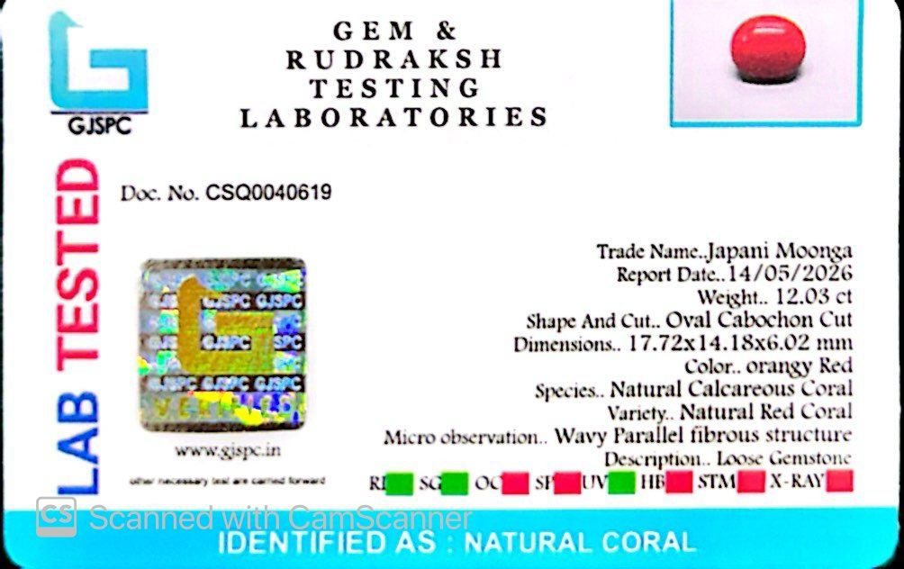 Red Coral Japanese – Natural Moonga for Strength 12.03 CT