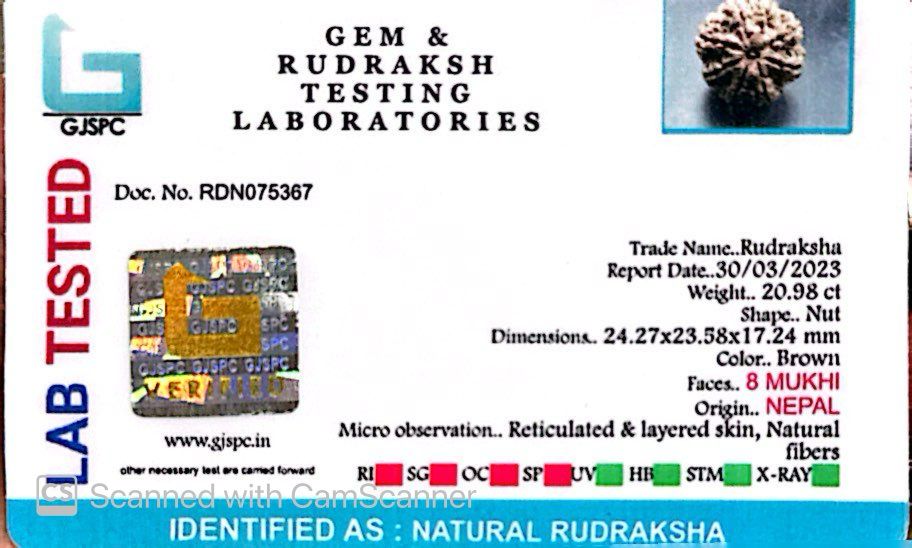 Natural 8 Mukhi Rudraksha – Symbol of Success & Wisdom