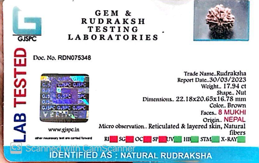 Natural 8 Mukhi Rudraksha – Symbol of Success & Wisdom
