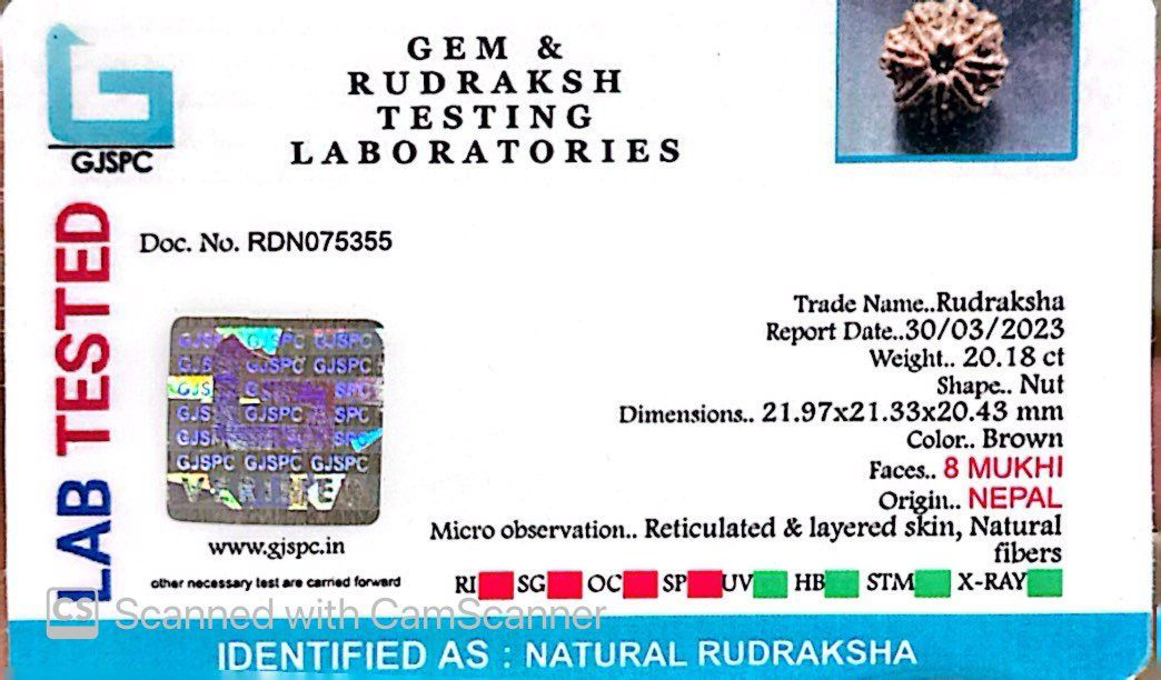 Natural 8 Mukhi Rudraksha – Symbol of Success & Wisdom