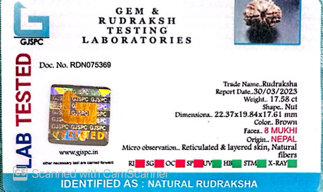 Natural 8 Mukhi Rudraksha – Symbol of Success & Wisdom