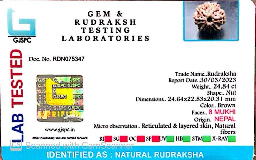 Natural 8 Mukhi Rudraksha – Symbol of Success & Wisdom