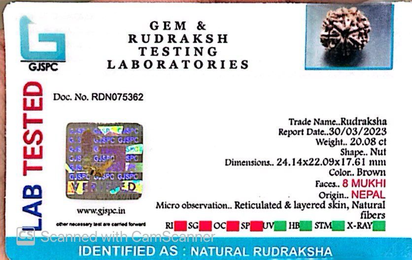 Natural 8 Mukhi Rudraksha – Symbol of Success & Wisdom