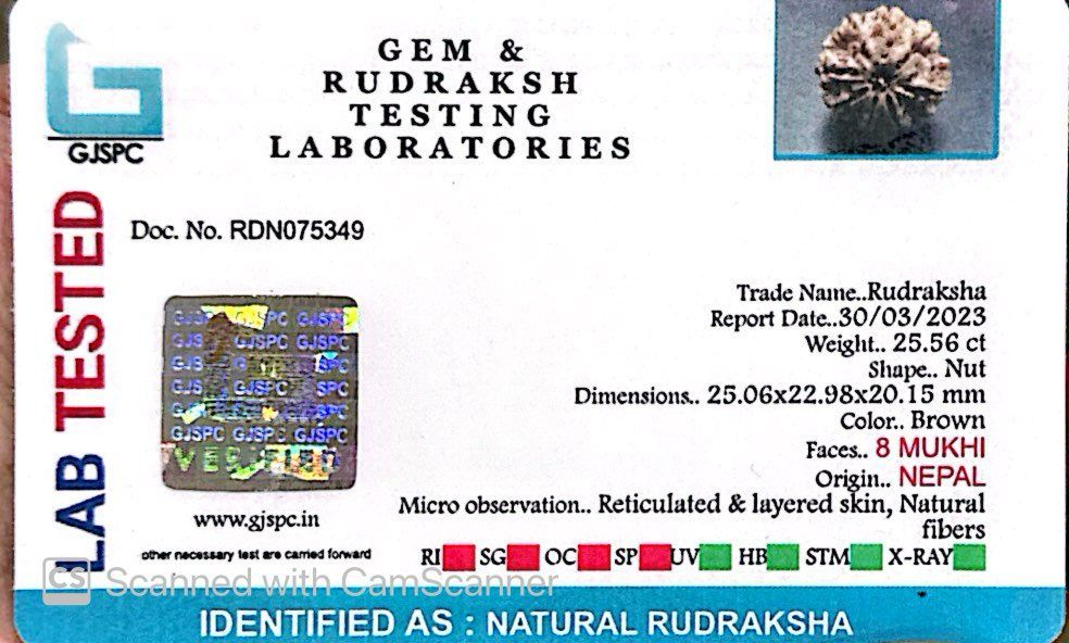 Natural 8 Mukhi Rudraksha – Symbol of Success & Wisdom
