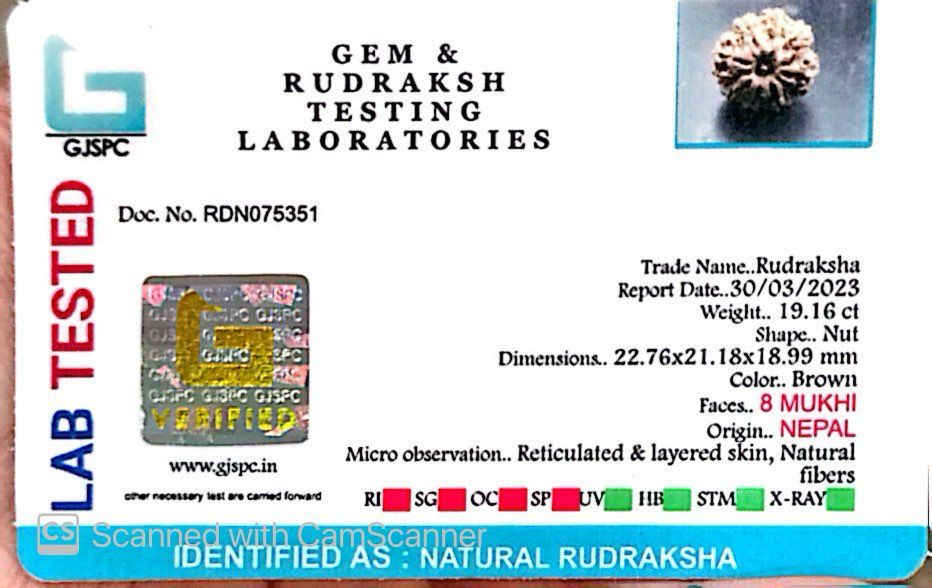 Natural 8 Mukhi Rudraksha – Symbol of Success & Wisdom