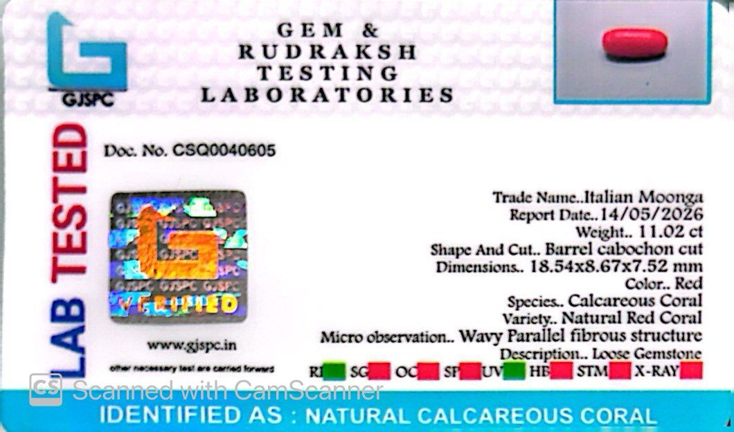 Natural Coral Gemstone – The Gem of Strength, Vitality & Protection 11.02 CT