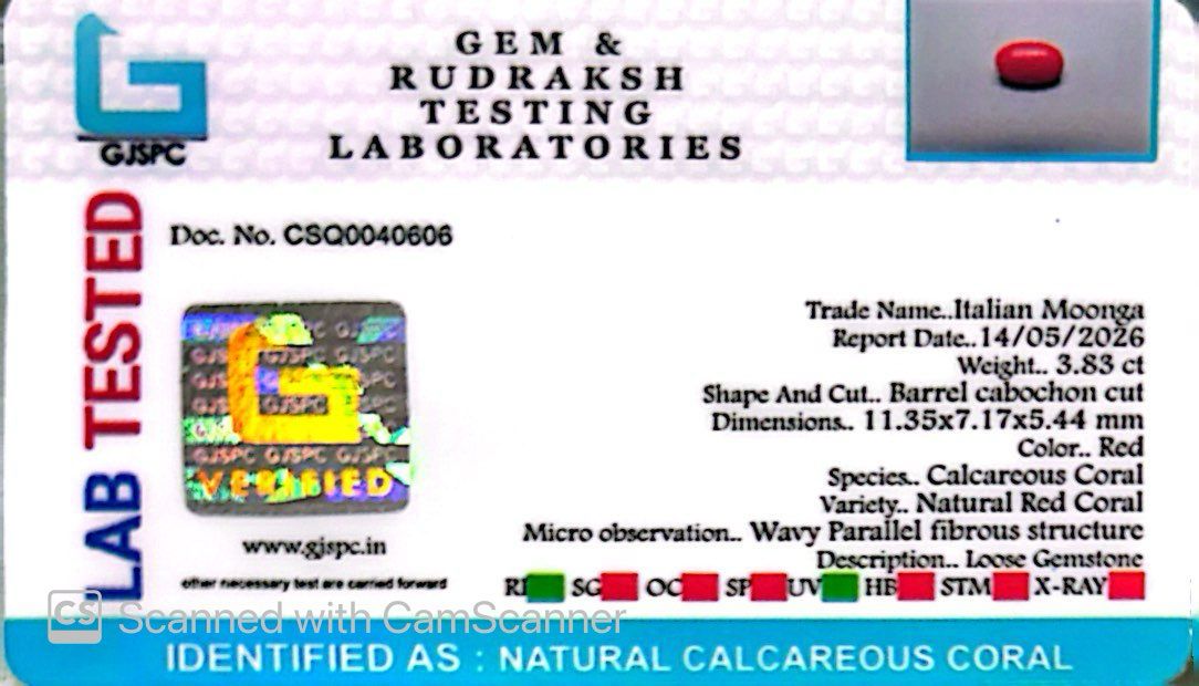Natural Coral Gemstone – The Gem of Strength, Vitality & Protection 3.83 CT