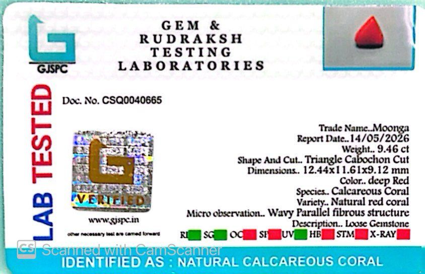 Natural Triangle Coral – The Gem of Strength, Vitality & Protection 9.46 CT