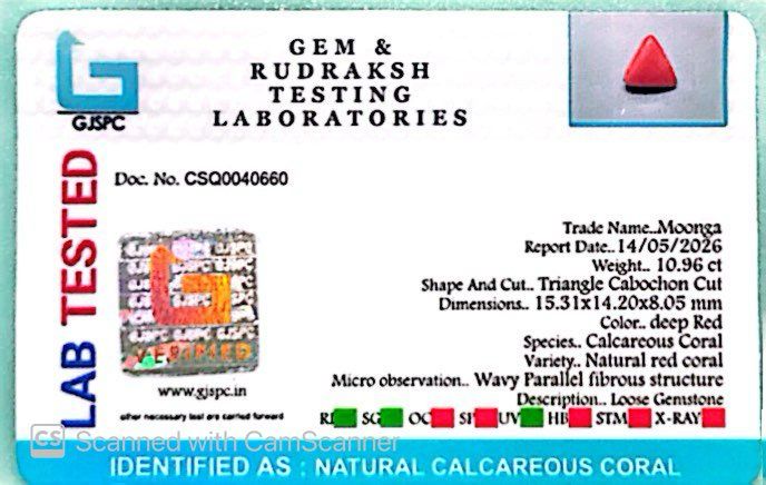 Natural Triangle Coral – The Gem of Strength, Vitality & Protection 10.96 CT