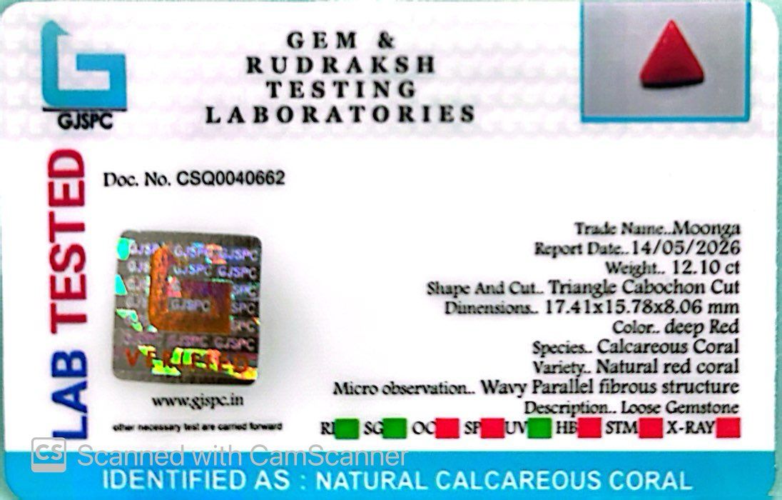 Natural Triangle Coral – The Gem of Strength, Vitality & Protection 12.10 CT