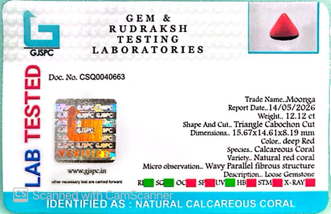 Natural Triangle Coral – The Gem of Strength, Vitality & Protection 12.12 CT