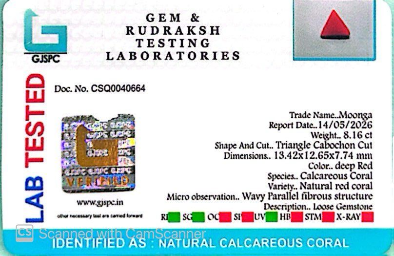 Natural Triangle Coral – The Gem of Strength, Vitality & Protection 8.16 CT