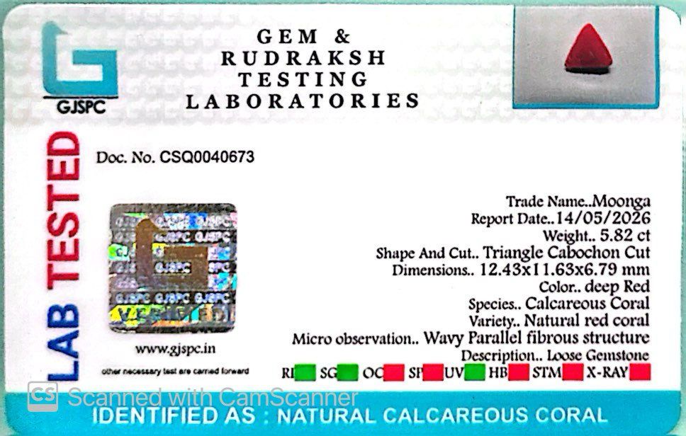 Natural Triangle Coral – The Gem of Strength, Vitality & Protection 5.82 CT