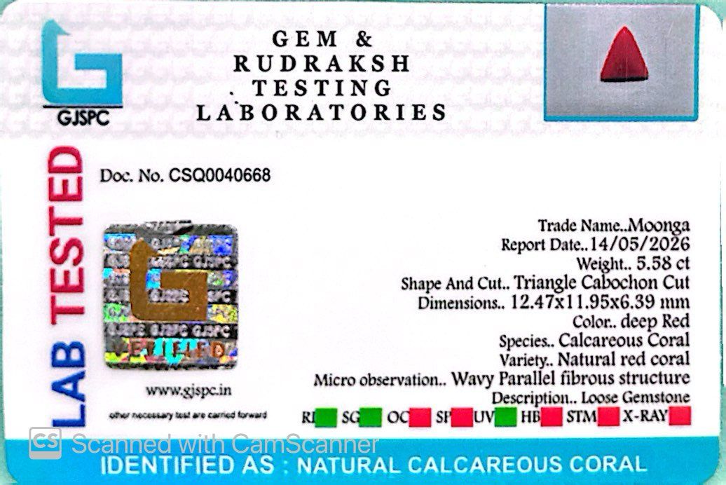Natural Triangle Coral – The Gem of Strength, Vitality & Protection 5.58 CT