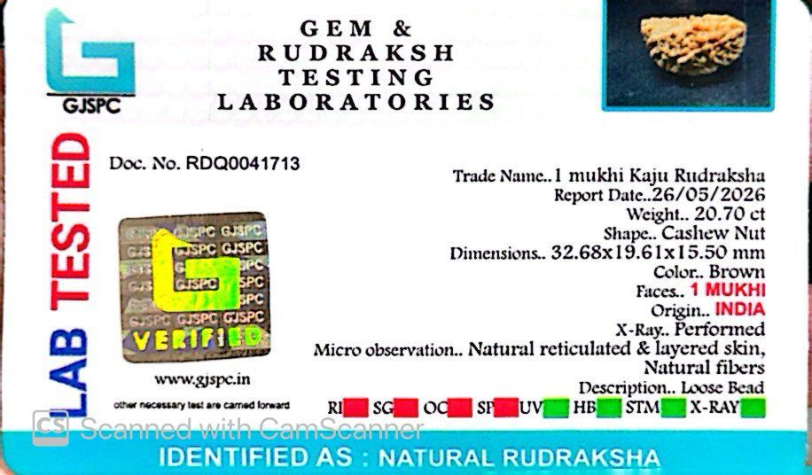 1 Mukhi South Indian Rudraksha