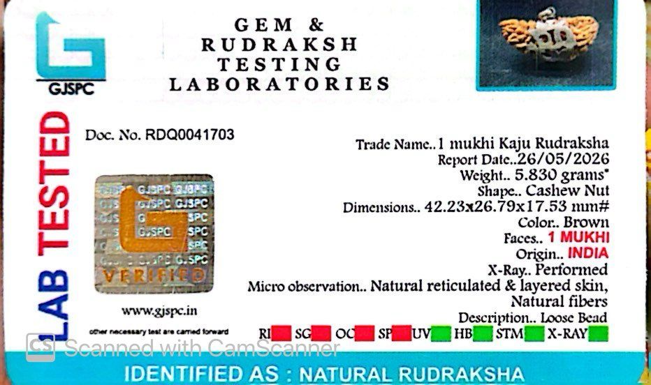 1 Mukhi Rudraksha Om Silver Locket