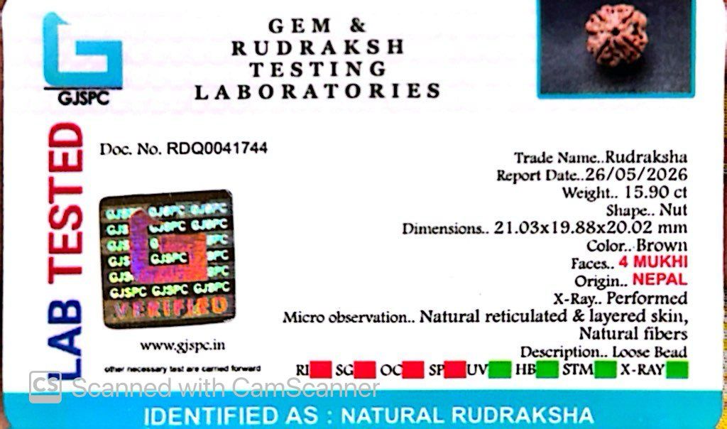 4 Mukhi Nepali Rudraksha (Authentic Nepal Origin)
