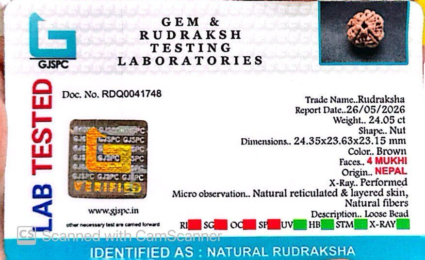 4 Mukhi Nepali Rudraksha