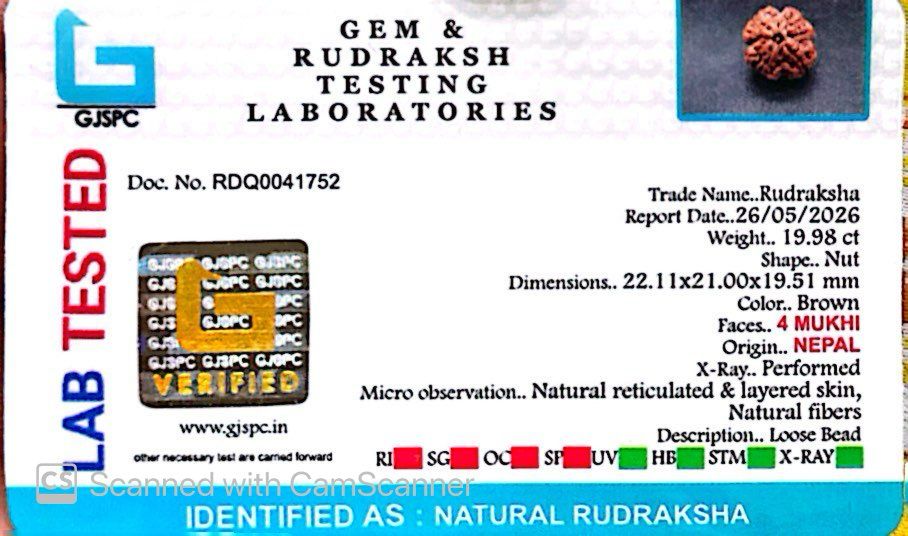 4 Mukhi Nepali Rudraksha