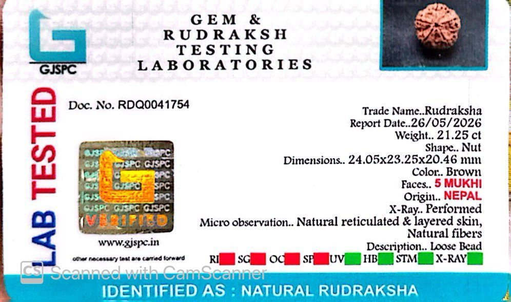 5 Mukhi Nepali Rudraksha