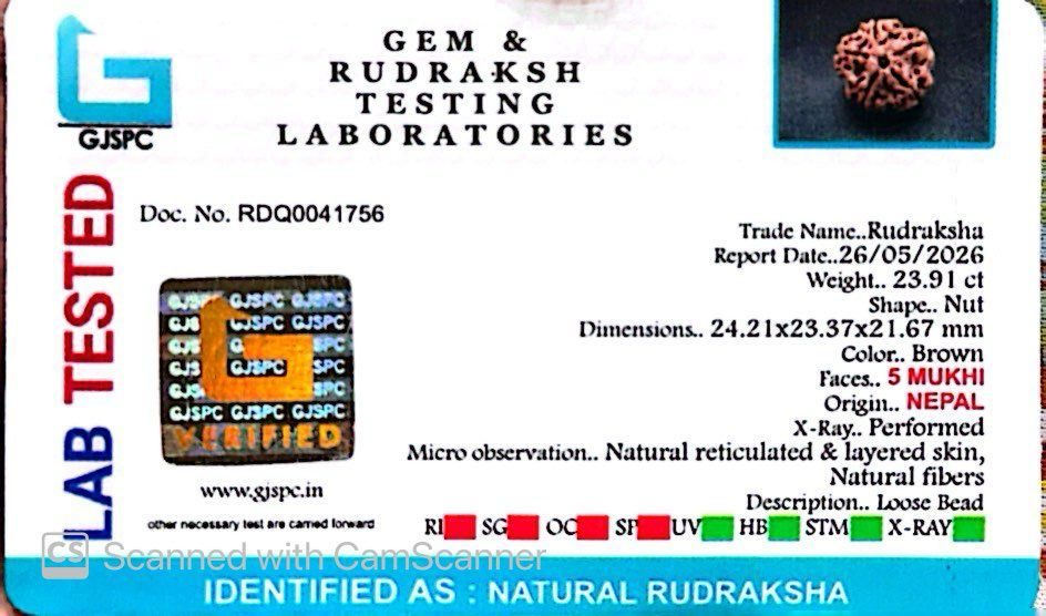 5 Mukhi Nepali Rudraksha