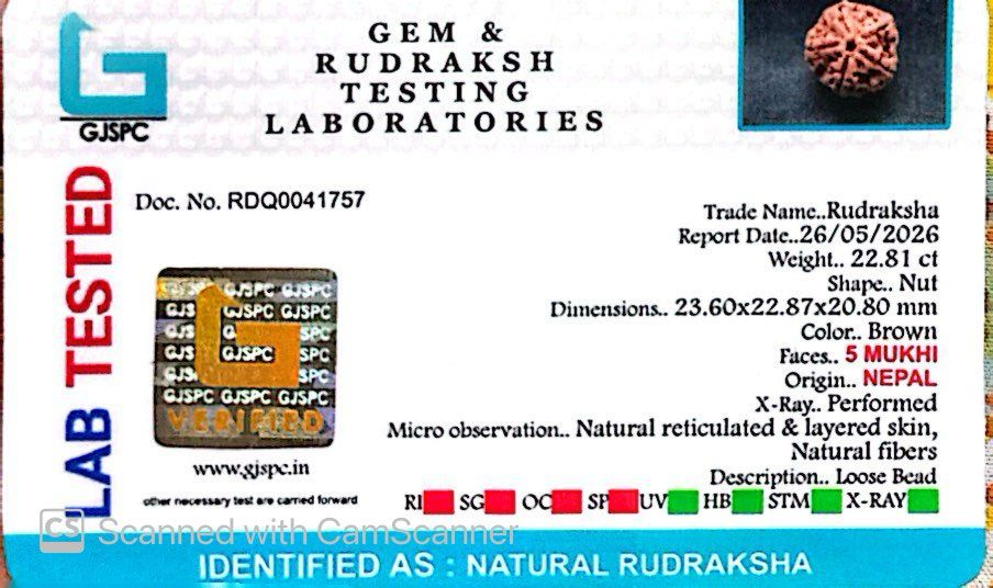 5 Mukhi Nepali Rudraksha