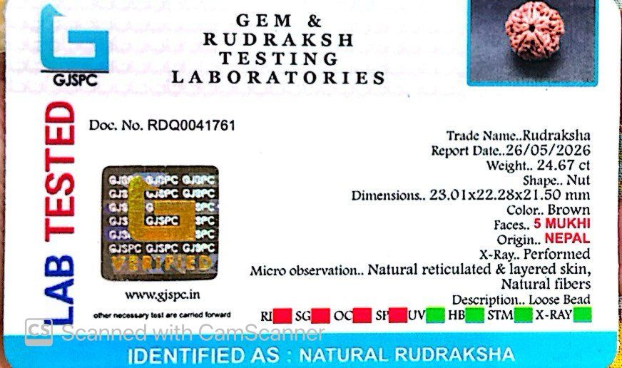 5 Mukhi Nepali Rudraksha