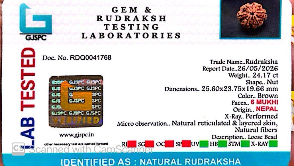 6 Mukhi Nepali Rudraksha