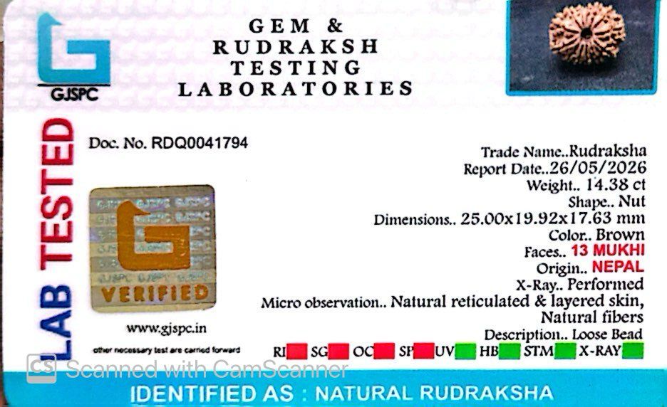 ✨ Benefits of 13 Mukhi Rudraksha (Natural & Certified)  Small