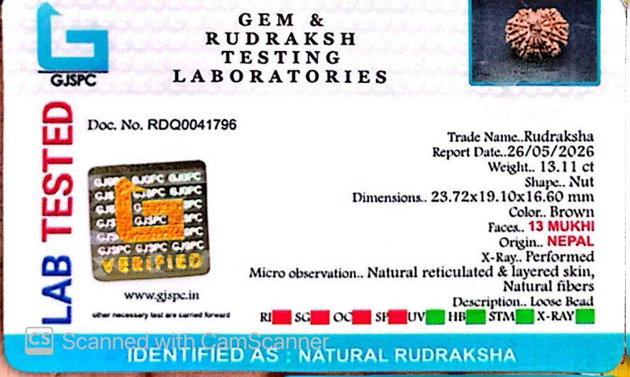 ✨ Benefits of 13 Mukhi Rudraksha (Natural & Certified)  Small