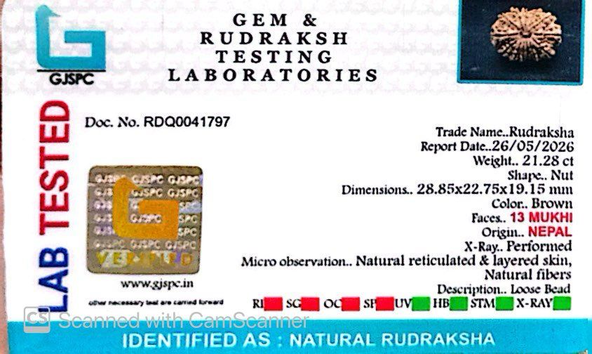 ✨ Benefits of 13 Mukhi Rudraksha (Natural & Certified)  Antik