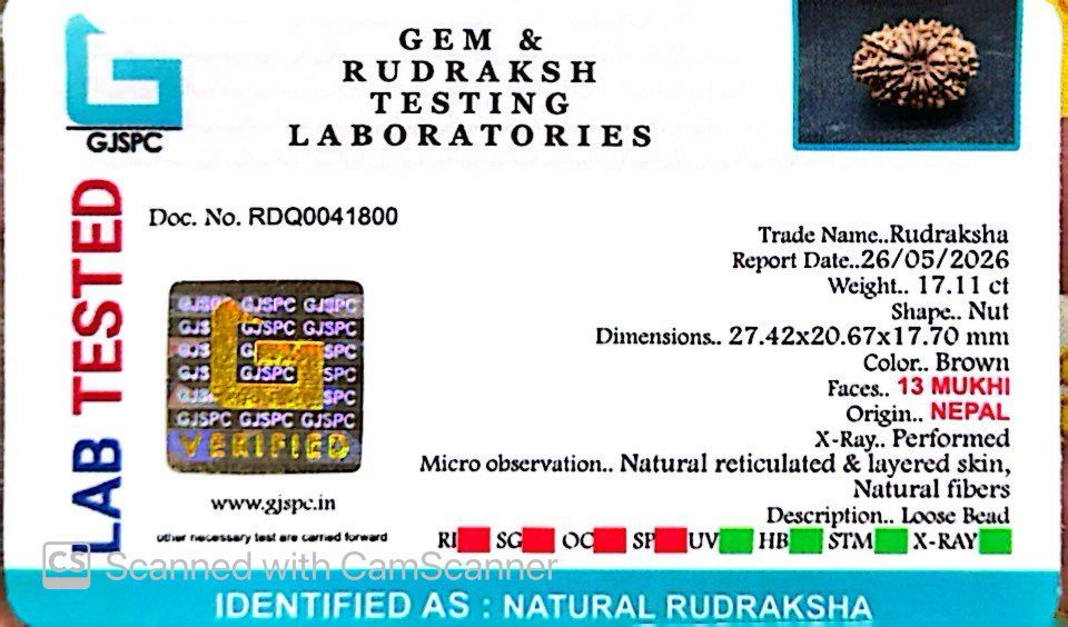 ✨ Benefits of 13 Mukhi Rudraksha (Natural & Certified)  Medium