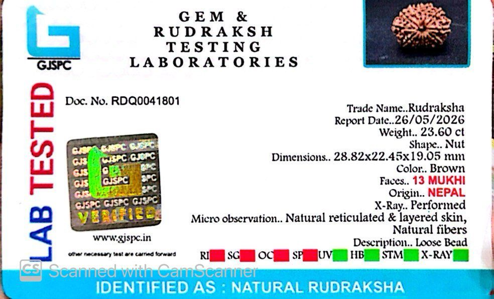✨ Benefits of 13 Mukhi Rudraksha (Natural & Certified)  Antik