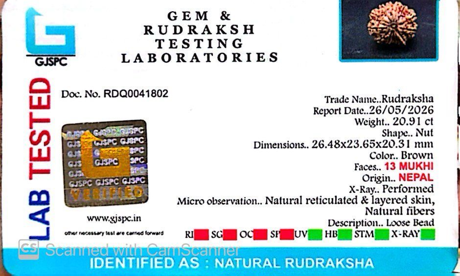 ✨ Benefits of 13 Mukhi Rudraksha (Natural & Certified)  Big